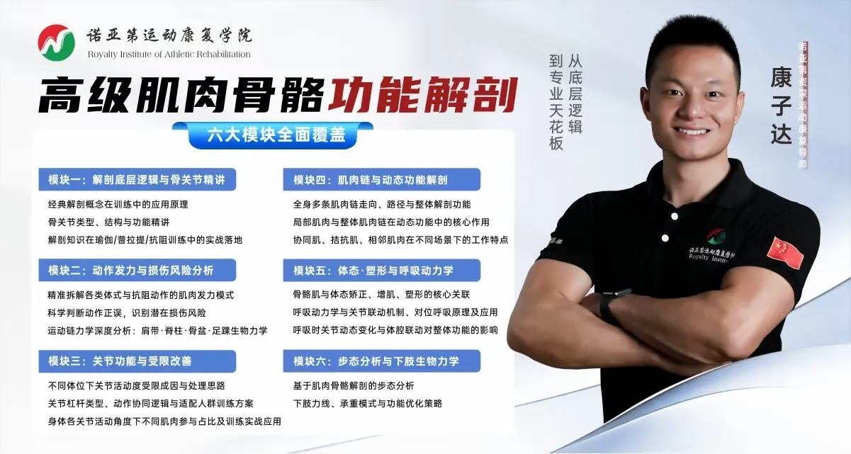 高级肌肉骨骼功能解剖