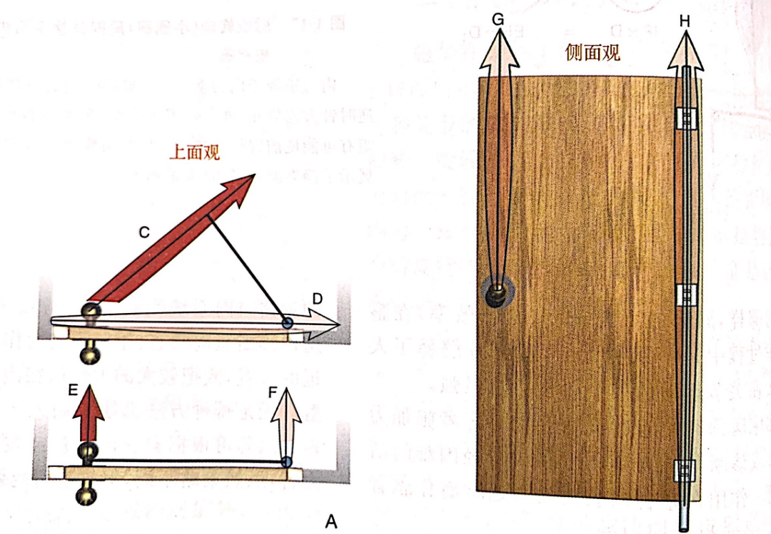 肌动学—-关节运动的力(图4) 肌动学—-关节运动的力(图4)