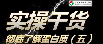 健身必看 | 彻底了解蛋白质！（第五章）