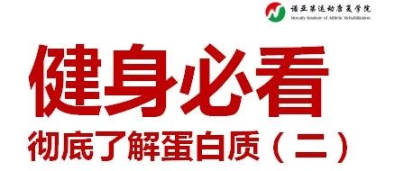 健身必看：彻底了解蛋白质！（第二章）