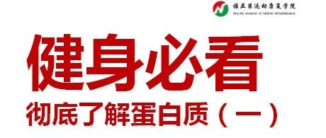 健身必看 | 彻底了解蛋白质！（一）