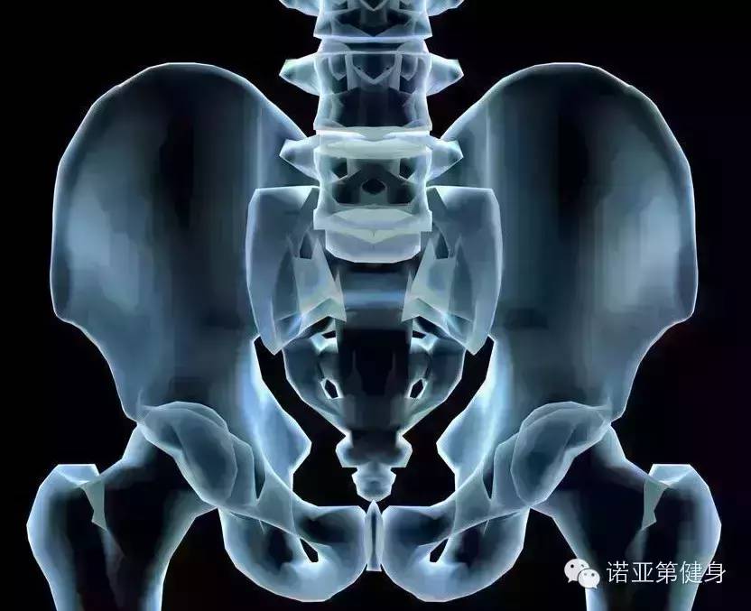 旧文重发 | 苗振“浅”谈骨盆侧倾